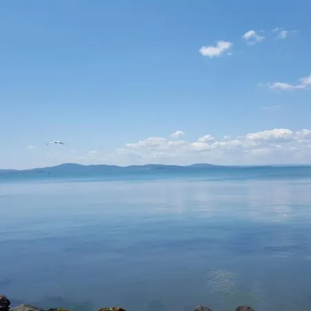 Black Sea * פומורי